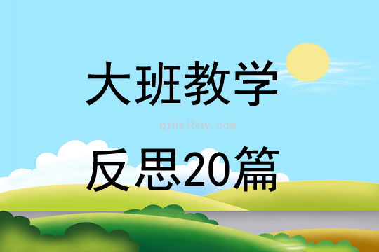 大班教学反思20篇