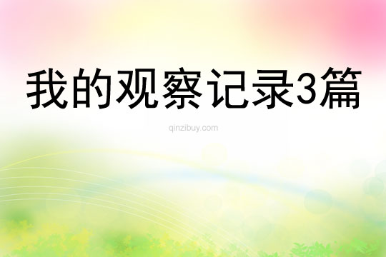 我的观察记录3篇