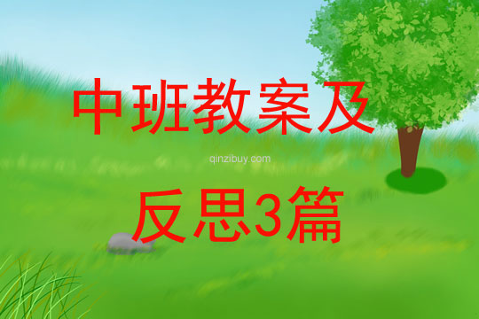 中班教案及反思3篇