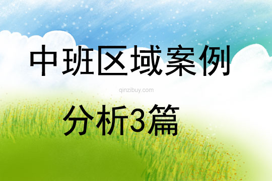 中班区域案例分析3篇