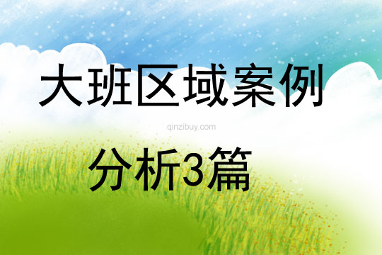 大班区域案例分析3篇