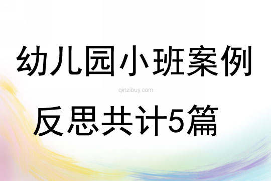 幼儿园小班案例反思共计5篇