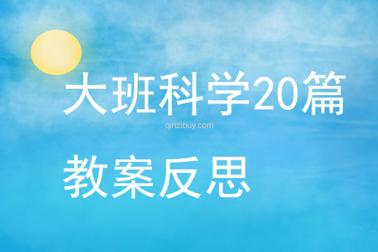 大班科学20篇教案反思