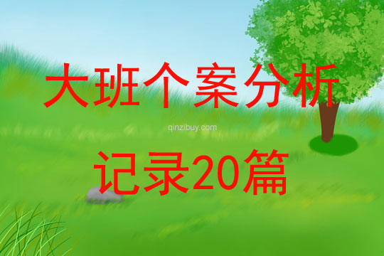 大班个案分析记录20篇