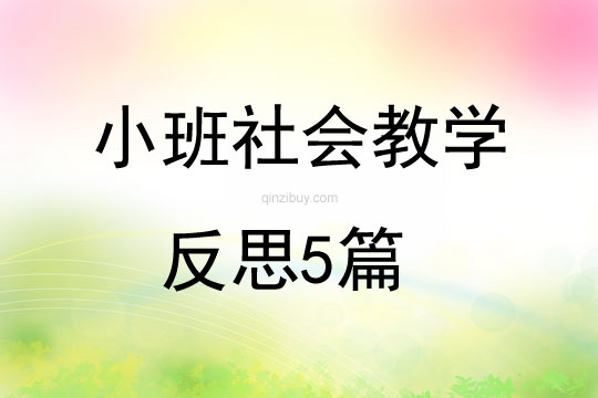 小班社会教学反思5篇