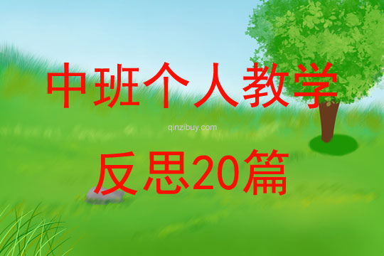 中班个人教学反思20篇