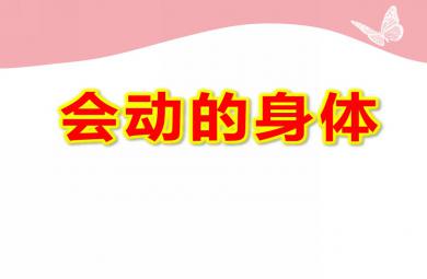 中班科学会动的身体PPT课件