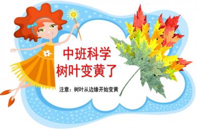 中班科学树叶变黄了PPT课件