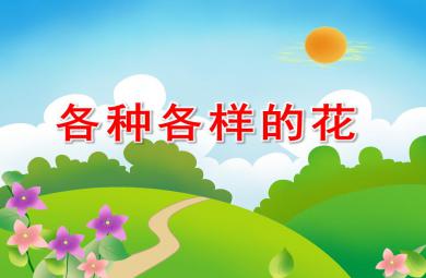 大班美术科学各种各样的花PPT课件