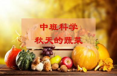 中班科学秋天的蔬菜PPT课件