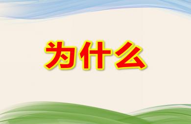 大班歌曲为什么PPT课件
