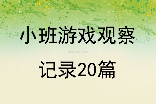 小班游戏观察记录20篇