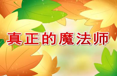 中班数学活动真正的魔法师PPT课件
