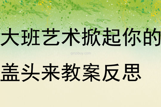 大班艺术掀起你的盖头来教案反思