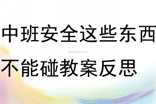 中班安全活动这些东西不能碰教案反思