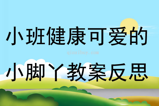 小班健康活动可爱的小脚丫教案反思