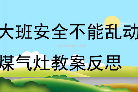 大班安全活动不能乱动煤气灶教案反思