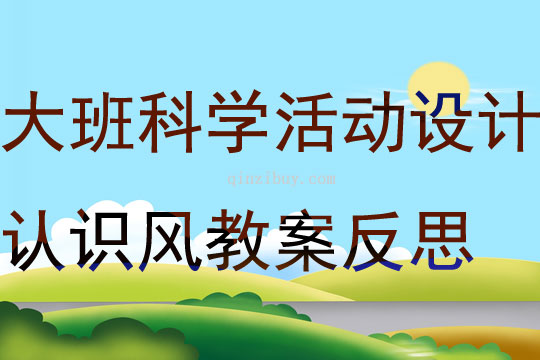 大班科学活动设计认识风教案反思
