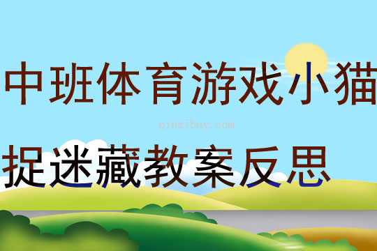 中班户外体育游戏小猫捉迷藏教案反思