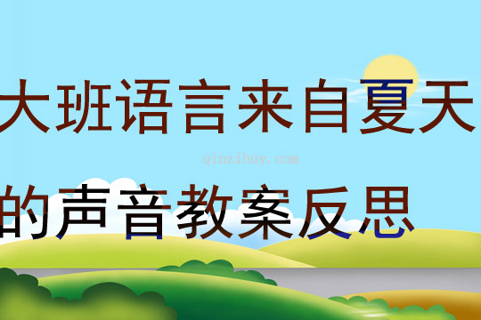 大班语言活动来自夏天的声音教案反思