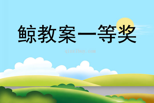 鲸教案一等奖