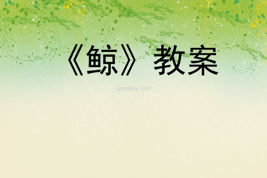 《鲸》教案