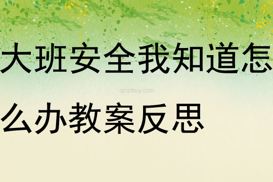 大班安全我知道怎么办教案反思