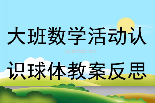 大班数学优质课认识球体教案反思