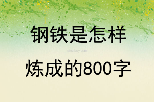 钢铁是怎样炼成的800字