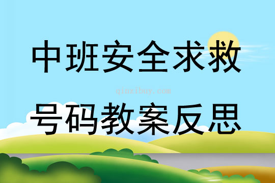 中班安全求救号码教案反思