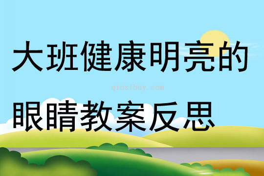 大班健康公开课明亮的眼睛教案反思