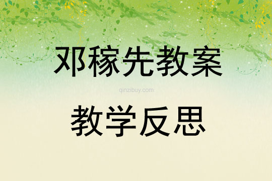 邓稼先教案教学反思