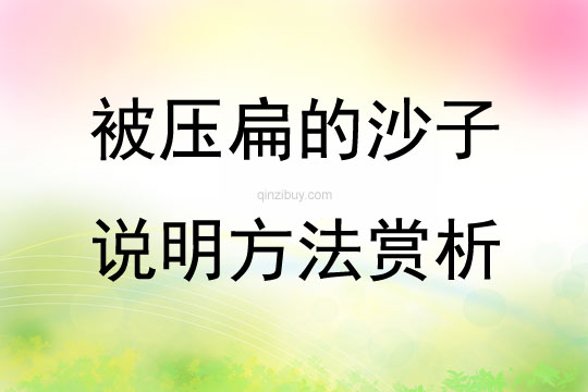 被压扁的沙子说明方法赏析