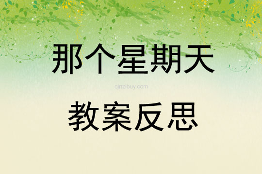 那个星期天教案反思
