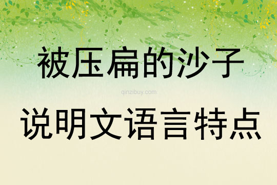 被压扁的沙子说明文语言特点