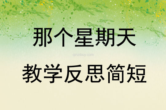 那个星期天教学反思简短