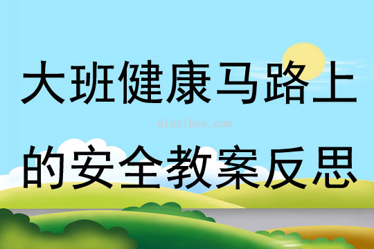 大班健康马路上的安全教案反思