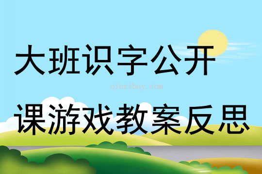 大班识字公开课游戏教案反思