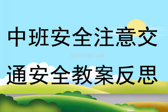 中班注意交通安全教案反思