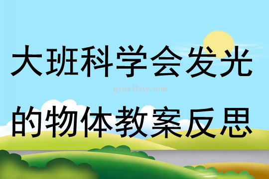 大班科学活动会发光的物体教案反思