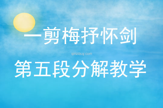 一剪梅抒怀剑第五段分解教学