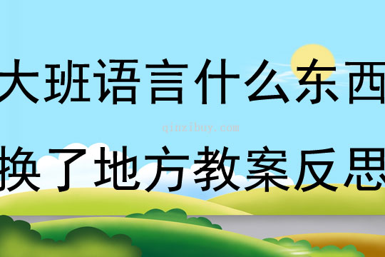 大班语言什么东西换了地方教案反思