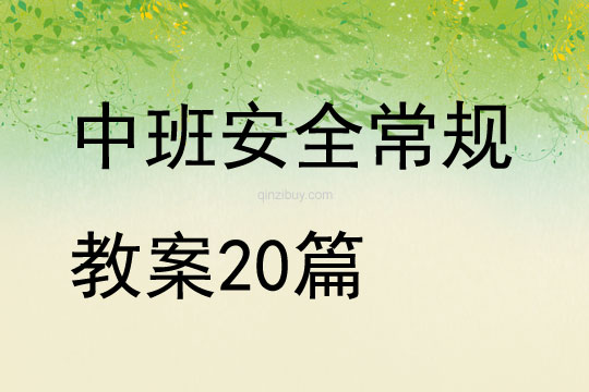 中班安全常规教案20篇
