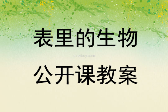 表里的生物公开课教案