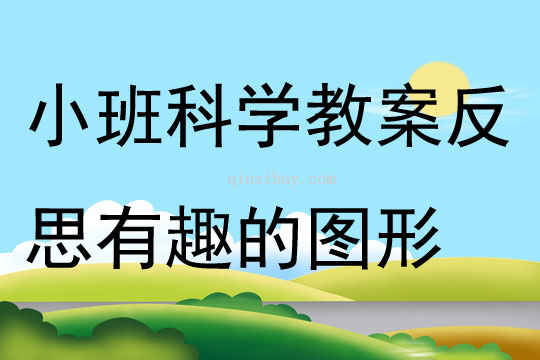 小班科学活动 教案反思有趣的图形
