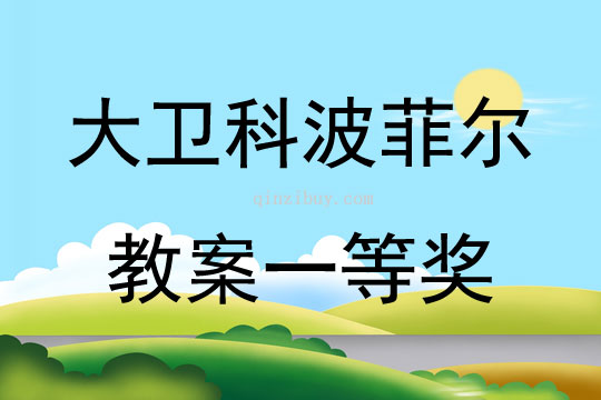 大卫科波菲尔教案一等奖