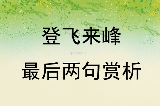 登飞来峰最后两句赏析
