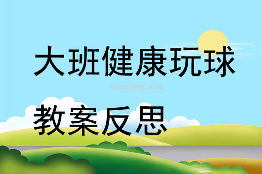 大班健康公开课玩球教案反思