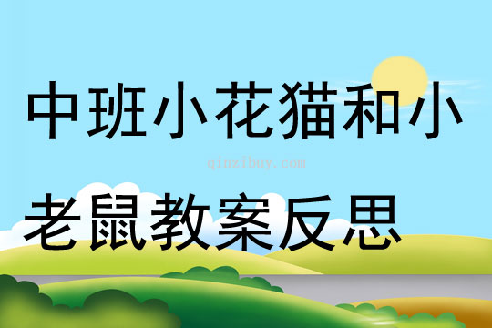 中班音乐活动小花猫和小老鼠教案反思