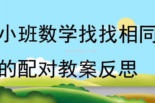 小班数学找找相同的配对教案反思